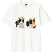 D8c0fd66 6a95 4ed2 b32c 12f80b4ca570 110 print s