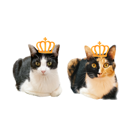 D8c0fd66 6a95 4ed2 b32c 12f80b4ca570 s