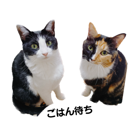 D1bce6fa 7f1b 446a bc49 88205dc38f5a s