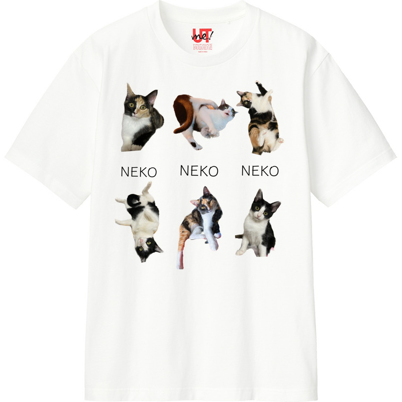 6da86a66 08f9 4f68 acca 4a4ee178fd51 110 print ll