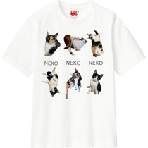 6da86a66 08f9 4f68 acca 4a4ee178fd51 110 print s