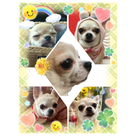 445719ab 0383 4802 9acd c541994f84c2 s