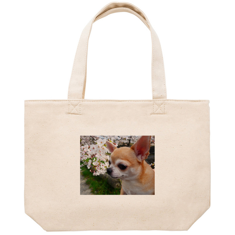 437da3cb d8ac 4053 8e21 8f58b65ecb3a 53 print ll