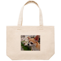 437da3cb d8ac 4053 8e21 8f58b65ecb3a 53 print s