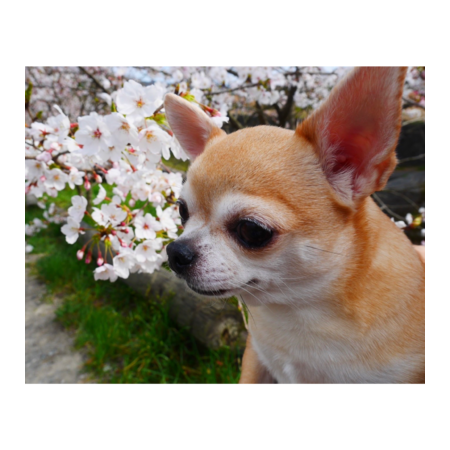 437da3cb d8ac 4053 8e21 8f58b65ecb3a s