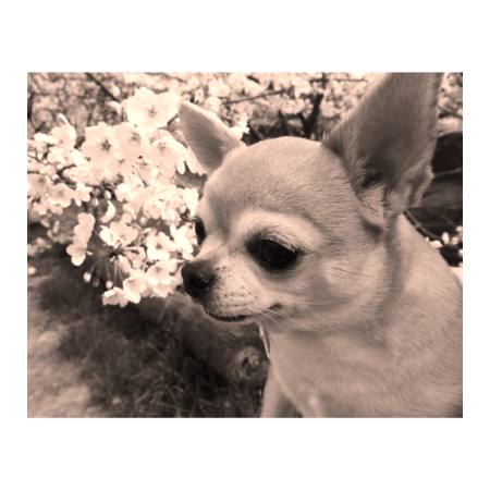 3d6607af d7c9 4a2d aa44 375796729ab5 s