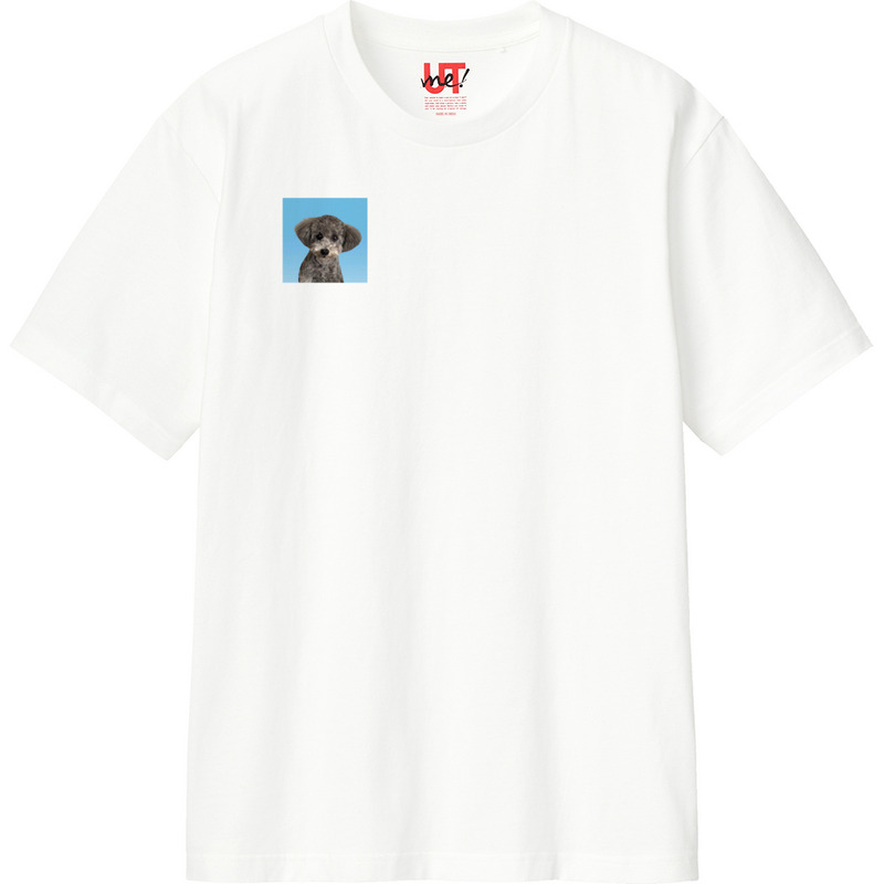 3a8917b0 5b3a 4521 b4d9 fe87158bc56f 110 print ll