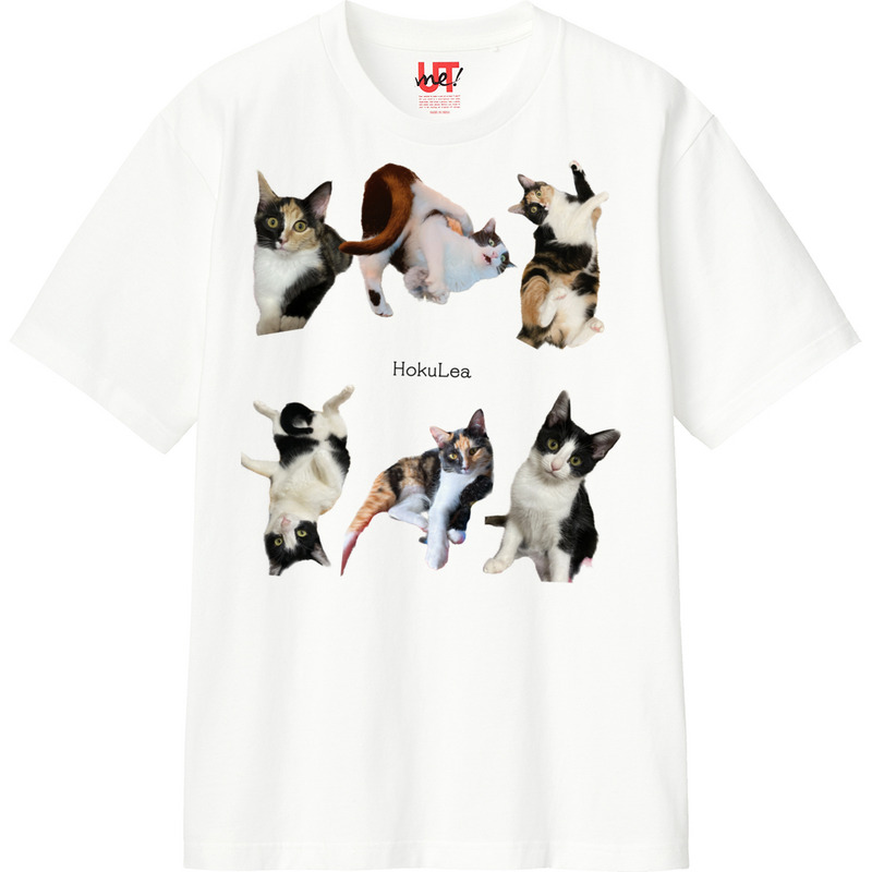 Ae98dcc2 d872 4794 9533 6fba6ced4765 110 print ll