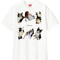 Ae98dcc2 d872 4794 9533 6fba6ced4765 110 print s