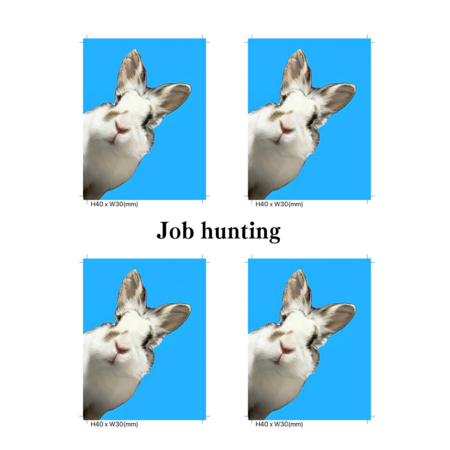 C260d519 bab4 4871 a84a 8d8c802a8f06 s