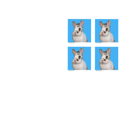 630eea05 c443 41b7 9884 af68fdf0f2fa s