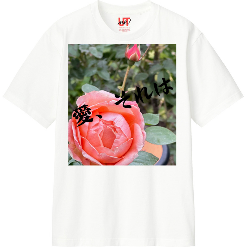 2e47d141 bc98 40d3 94e0 8c3449505fec 110 print ll