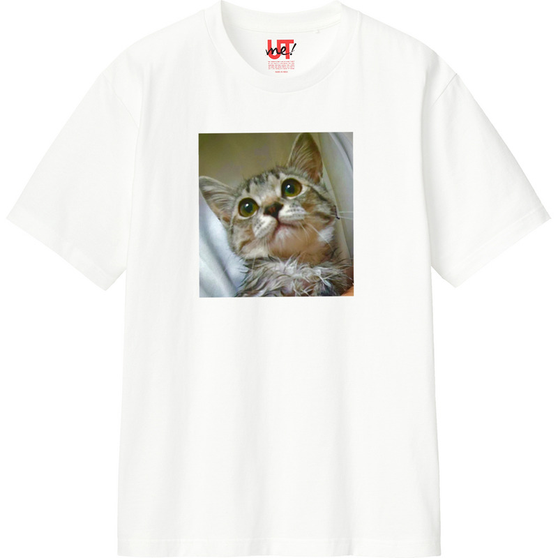 6df7dc20 cb82 440f a9ab 52a9237aa3fb 110 print ll