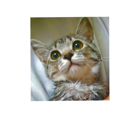 6df7dc20 cb82 440f a9ab 52a9237aa3fb s