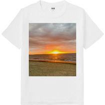 Db6da866 323e 4162 8168 ebc9a2e14a1e 64 print s