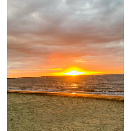 Db6da866 323e 4162 8168 ebc9a2e14a1e s