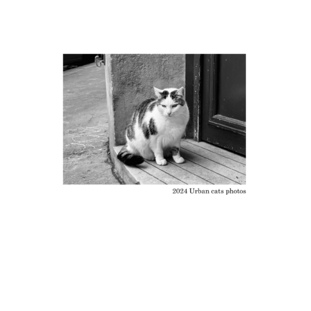 C5d4ca88 2d17 41d5 a625 92c6529837a2 s