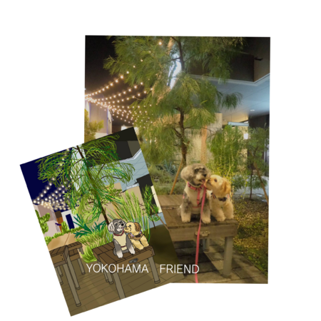 10f6d6b6 07af 4868 a9f2 f1c327a8a1c6 s