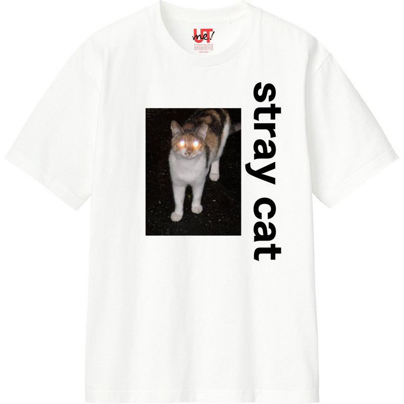 F5b7da13 20d3 4d5b 989e 7986f33b136a 110 print ll