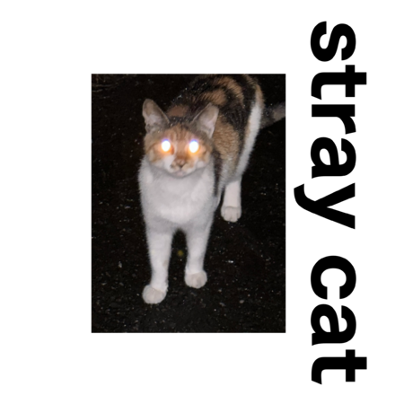 F5b7da13 20d3 4d5b 989e 7986f33b136a s