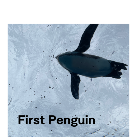 Ce3d8804 312b 4dba 8441 5e2841de87d3 s