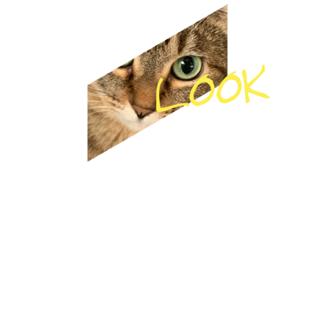 034491c1 b8b9 41c8 84e8 c419b3cb781f s