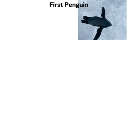 41f3c7ae 670d 4238 9559 cf0cf8b45b17 s