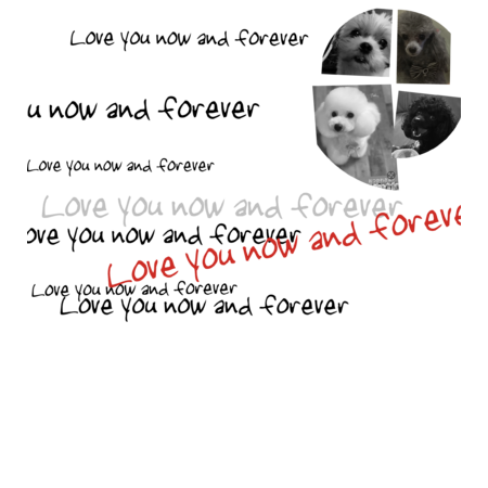 48223e94 3618 43d1 867c 7a13b05bd223 s