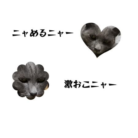 C7226dff 8aee 4f5c 825b 87aec20dda69 s