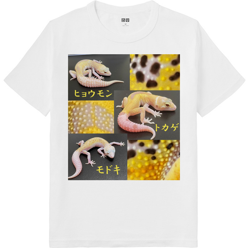 B3da6031 fa99 443e a254 c74e5505e597 64 print ll