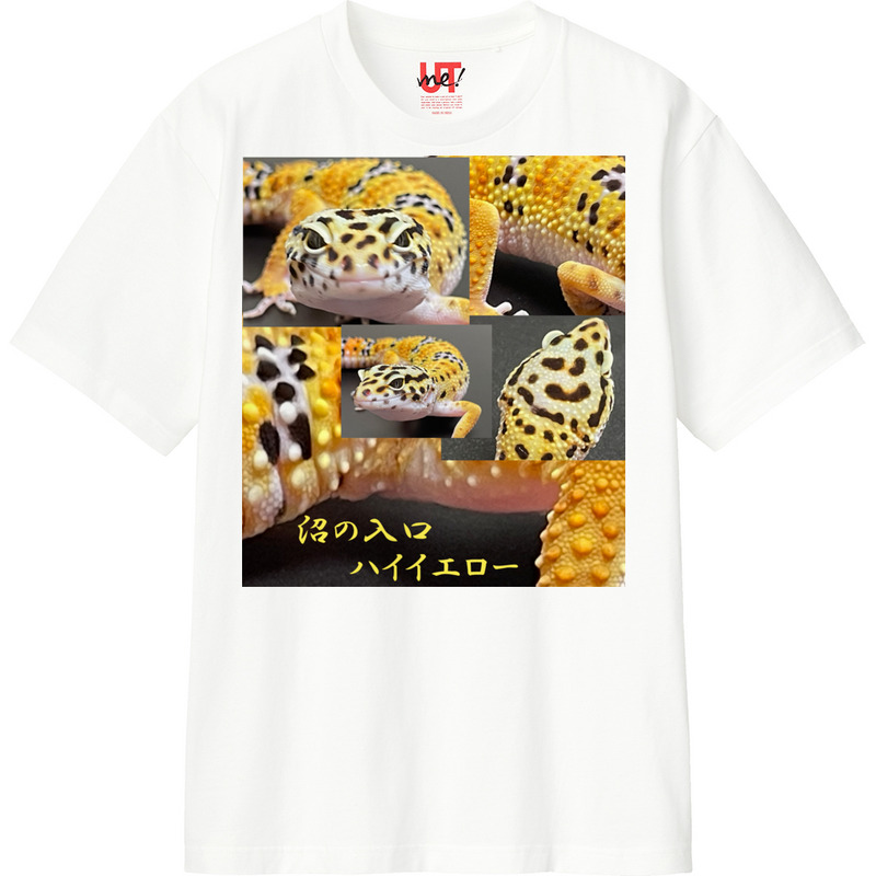 D212c70f 5159 4b12 9015 d96014ea6e76 110 print ll