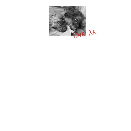 611f91ac 6e1e 47c5 99a0 2334e2708da6 s