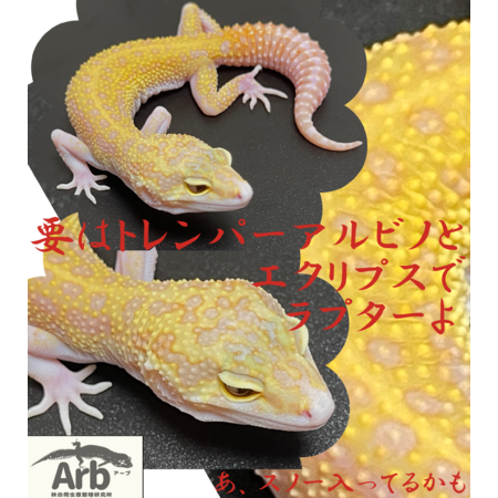 C84d1a16 7f6d 4fec 9d6c 7f04d5c5893b s