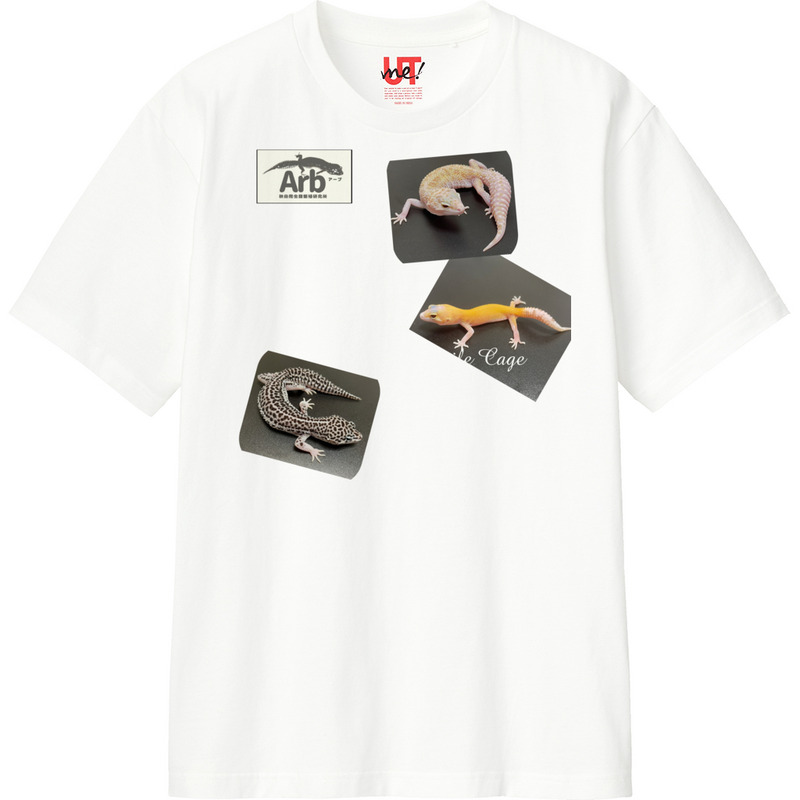 000d7354 42e8 4e60 bbed a1be542f4ef4 110 print ll