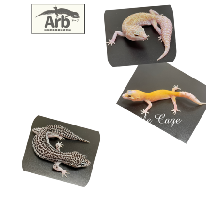 000d7354 42e8 4e60 bbed a1be542f4ef4 s