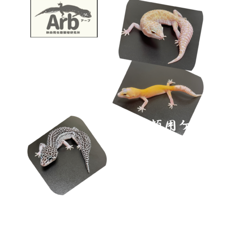 D5ebfc2f 99e2 436d a61d 261ed23df934 s