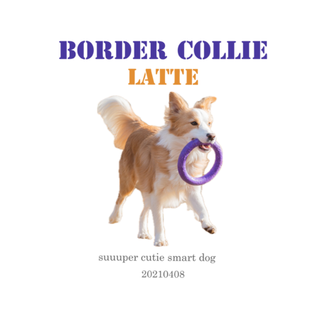 359c6291 268c 448e a5ce 289019f2de42 s