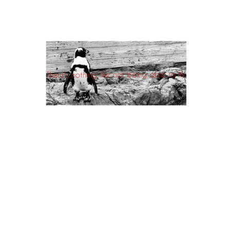 Ce5efc52 a883 4acc b1cf e360c676d394 s