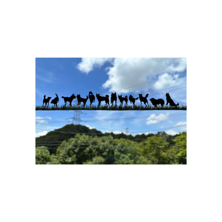 1458ba75 19d3 49b0 9ac5 7c9e8bfc2262 s