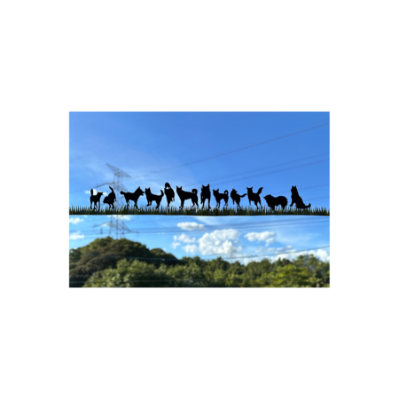 66053aab c4b2 4e99 9554 31443036140a s