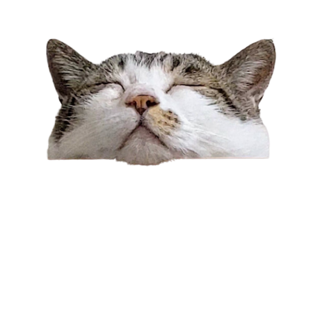 Eb606c01 1f80 4261 b245 f0c3ba31f680 s