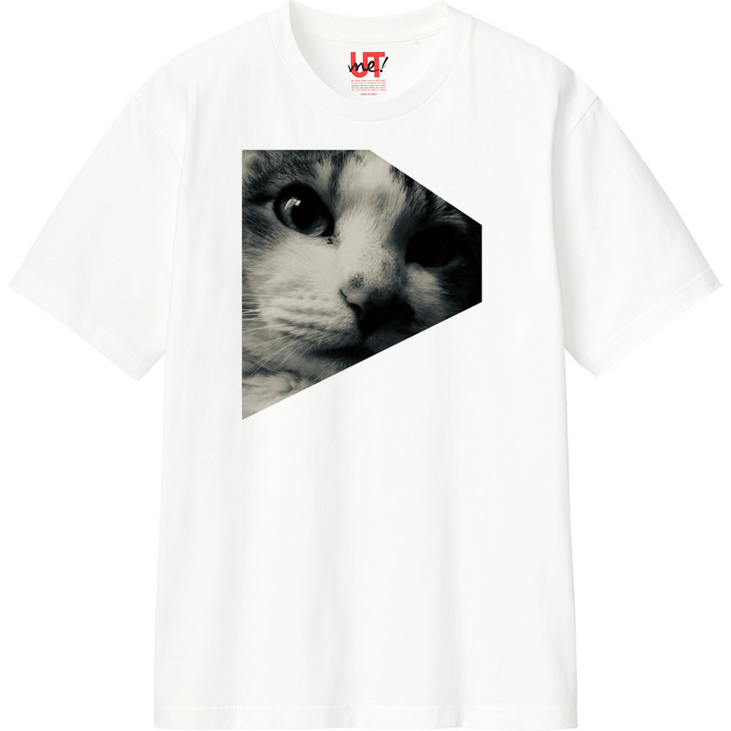 9965e09d 0072 4555 9d8d aee507c091ed 110 print ll