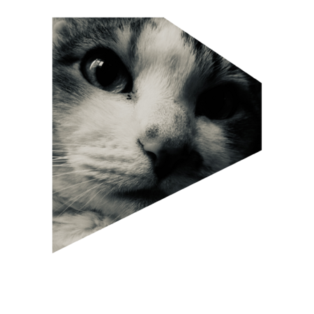 9965e09d 0072 4555 9d8d aee507c091ed s