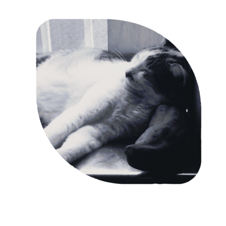 Ddc6d260 7aa6 4883 b4cf e97cf17df9ae s