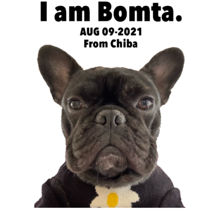 Fa127782 3433 4066 ac54 83c1c20ce5bd s