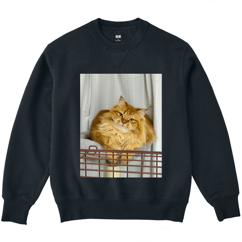 D80edde5 043e 495c 8b09 89796a5202bf 3 print ll