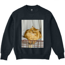 D80edde5 043e 495c 8b09 89796a5202bf 3 print s