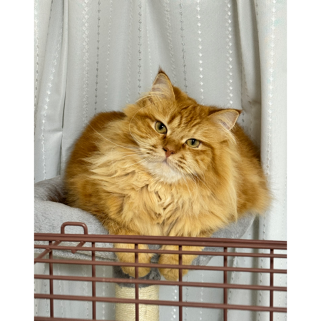 D80edde5 043e 495c 8b09 89796a5202bf s