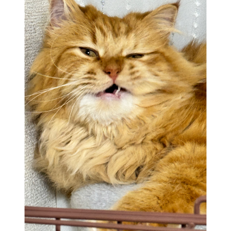 4b8393f8 9543 4126 a40f 0abad1b8a8c3 s