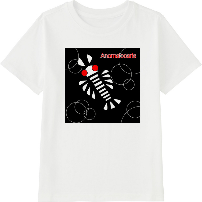 B90d2919 b952 4250 affb dd921841c696 45 print ll